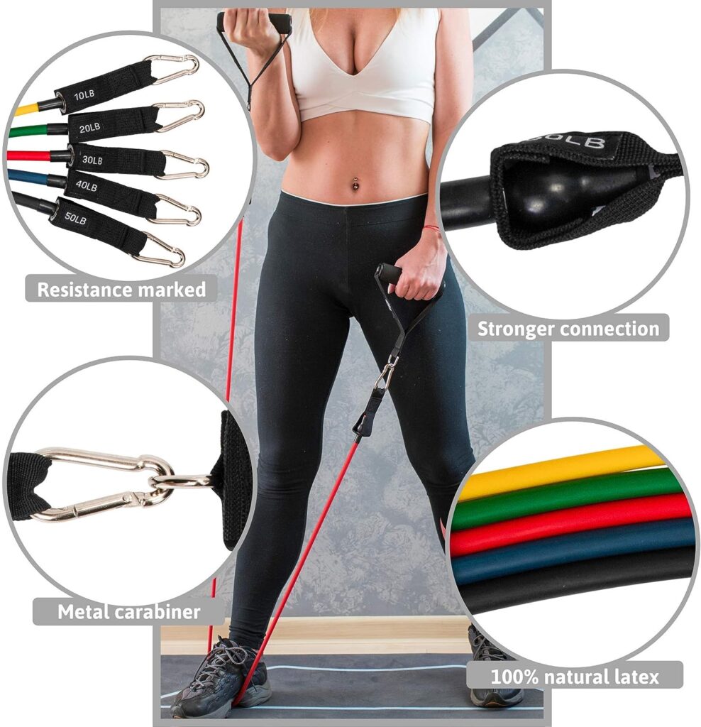 Resistance Bands Set By Resist Fit-10-Level Adjustable Home Gym Equipment - Fitness Gear for Therapy Support, Stretching, Training, Gymnastics, Sports - Portable Workout Equipment with Carry Bag